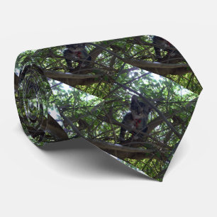 Kitten In The Tree Tops, Tie