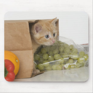 Kitten inside grocery bag mouse mat