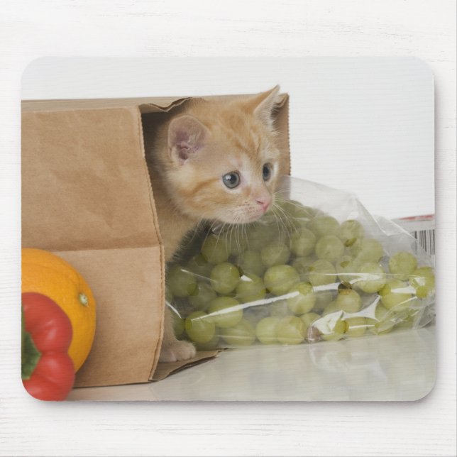 Kitten inside grocery bag mouse mat (Front)