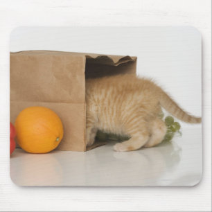 Kitten inside grocery bag mouse mat