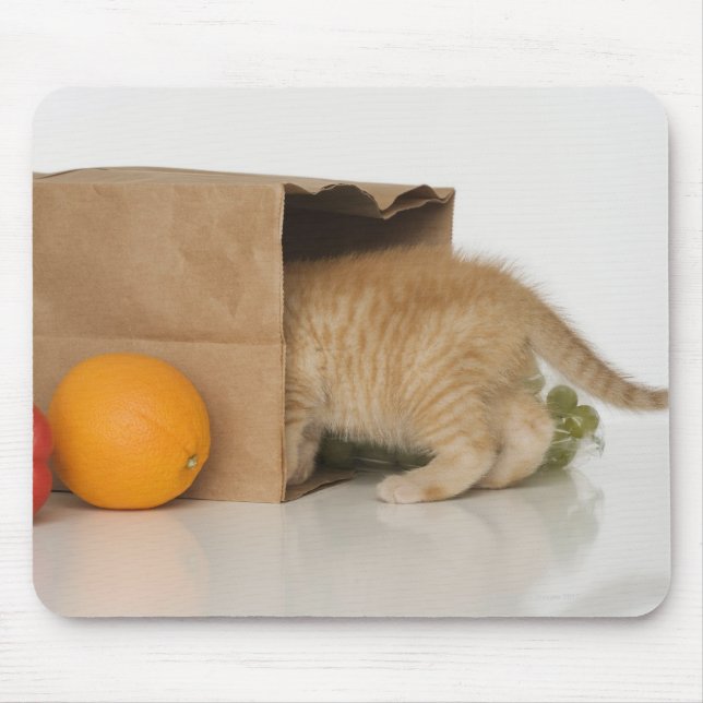 Kitten inside grocery bag mouse mat (Front)