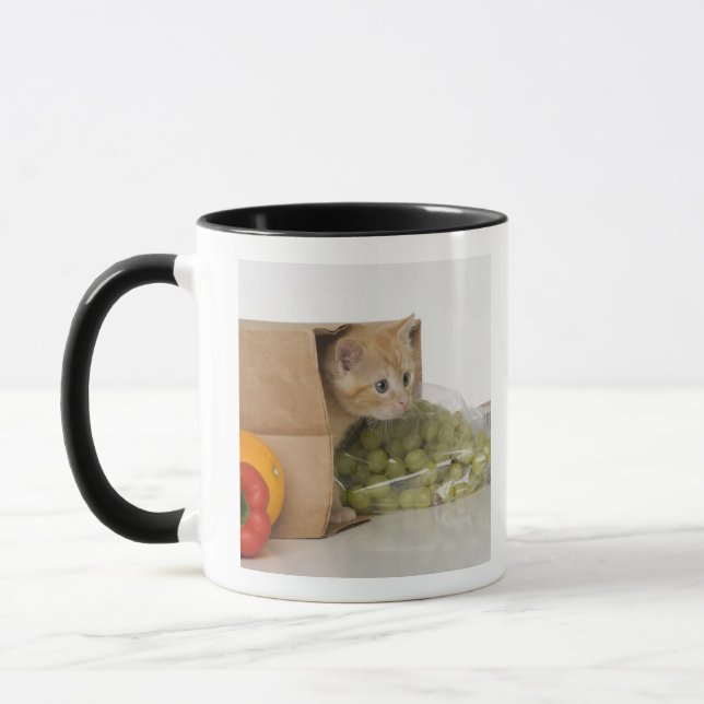 Kitten inside grocery bag mug (Left)