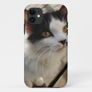 Kitten iphone case