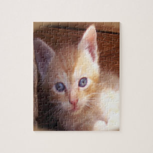 Kitten  jigsaw puzzle