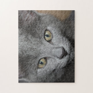 kitten jigsaw puzzle