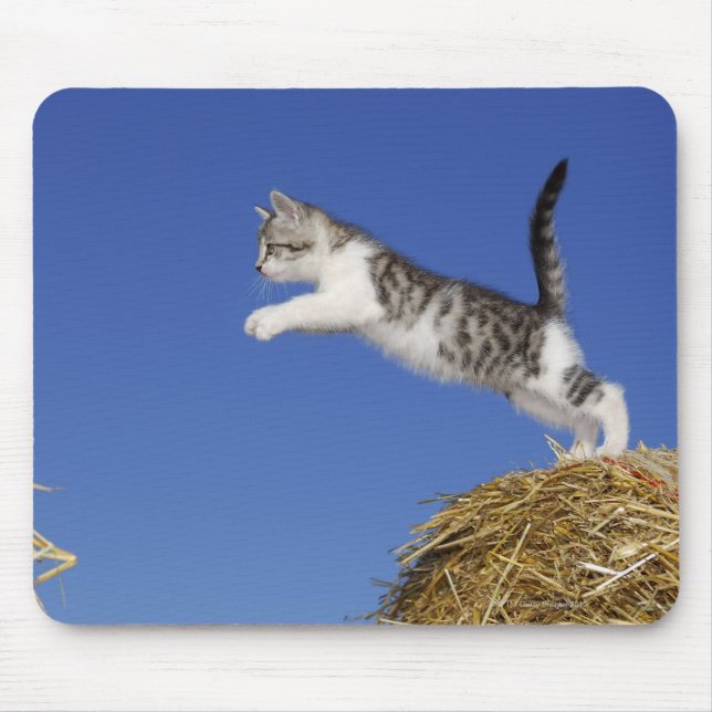Kitten Jumping 2 Mouse Mat (Front)
