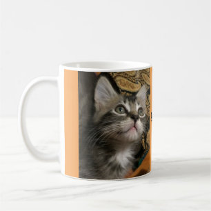 Kitten "Keep Looking Up!" Mug