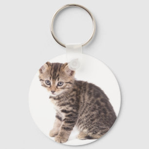 kitten key ring