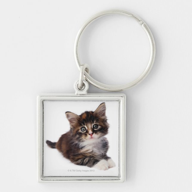Kitten Key Ring (Front)