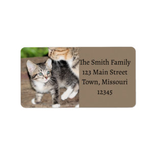 Kitten Label