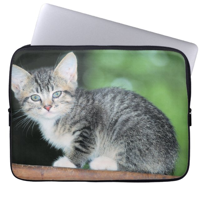 Kitten Laptop Sleeve (Front)