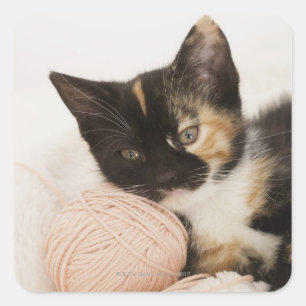 Kitten laying on ball of string square sticker
