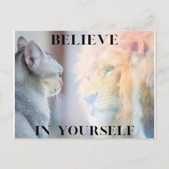 Kitten & Lion Mirror Believe in Yourself Postcard | Zazzle.co.uk