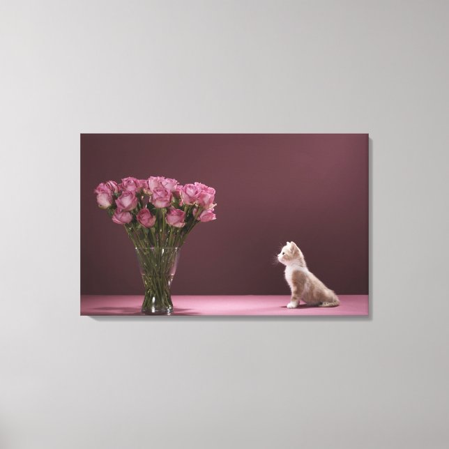 Kitten looking at vase of roses canvas print (Front)