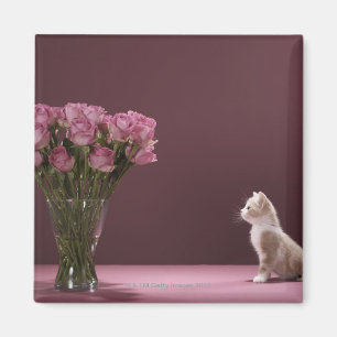 Kitten looking at vase of roses magnet