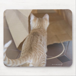 Kitten Looking into the Abyss of a Bag Mouse Mat