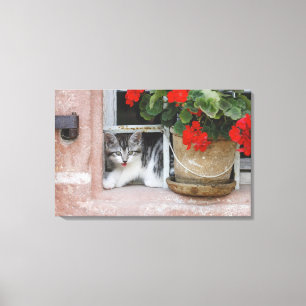 Kitten Looking Out Window Canvas Print