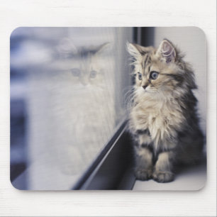 Kitten Looking Out Window Mouse Mat