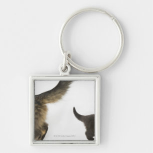Kitten Looking up at its Mother's Tail Key Ring