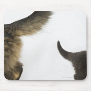 Kitten Looking up at its Mother's Tail Mouse Mat