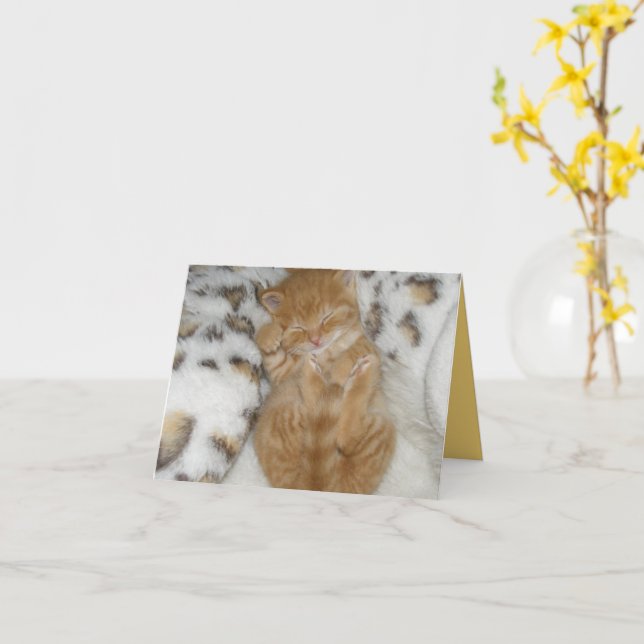Kitten Love Card (Yellow Flower)