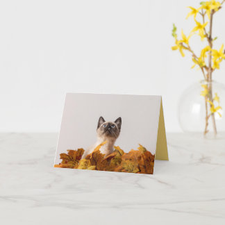 Kitten Love Card