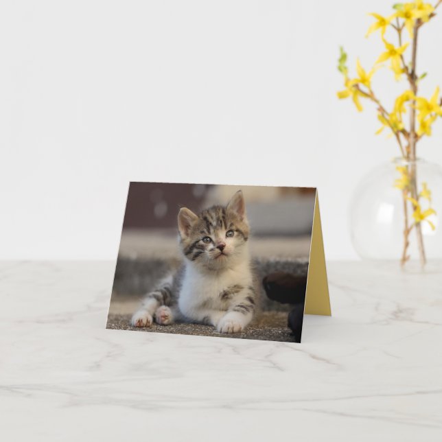Kitten Love Card (Yellow Flower)