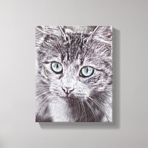 Kitten Love Cute Kitty Cat With Luminous Blue Eyes Canvas Print