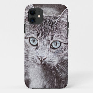 Kitten Love Cute Kitty Cat With Luminous Blue Eyes iPhone 11 Case