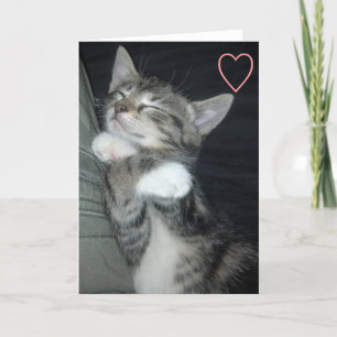 Kitten Love Holiday Card