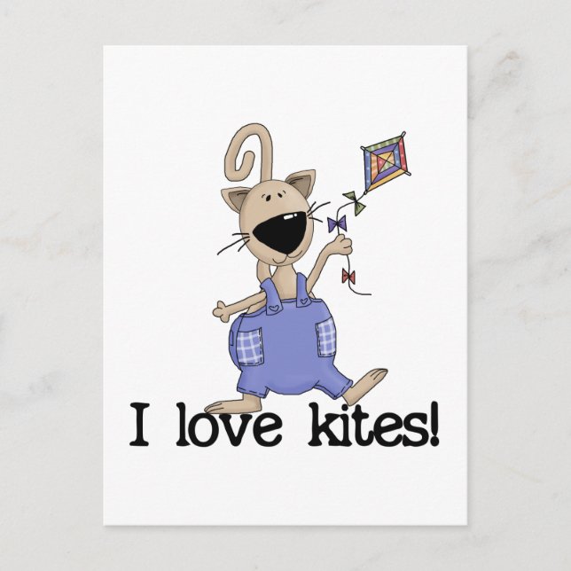 Kitten Love Kites Tshirts and Gifts Postcard (Front)
