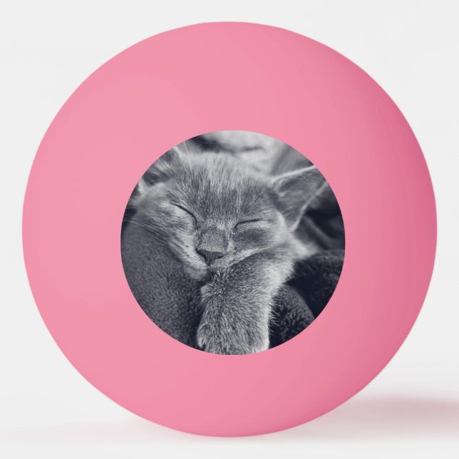Kitten love ping pong ball (Front)