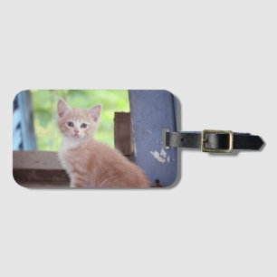 Kitten Luggage Tag