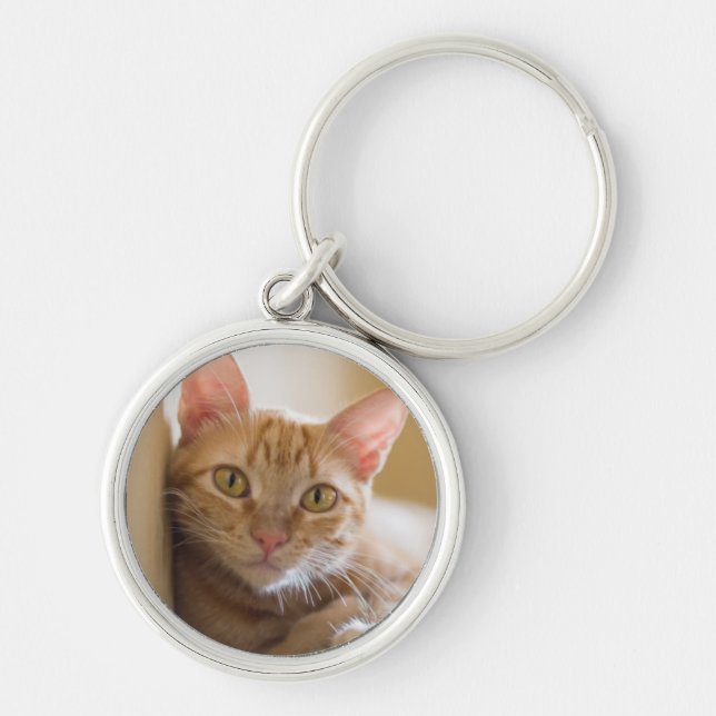 Kitten Lying On The Couch Key Ring (Front)