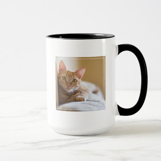 Kitten Lying On The Couch Mug (Right)