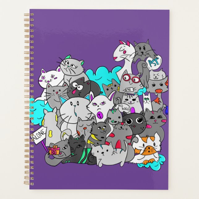 Kitten Mashup Planner (Front)