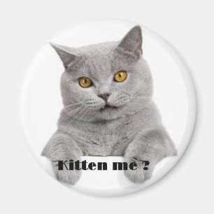 kitten me ? magnet