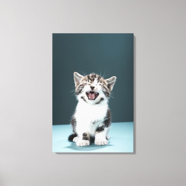 Kitten meowing canvas print (Front)