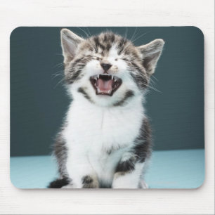 Kitten meowing mouse mat
