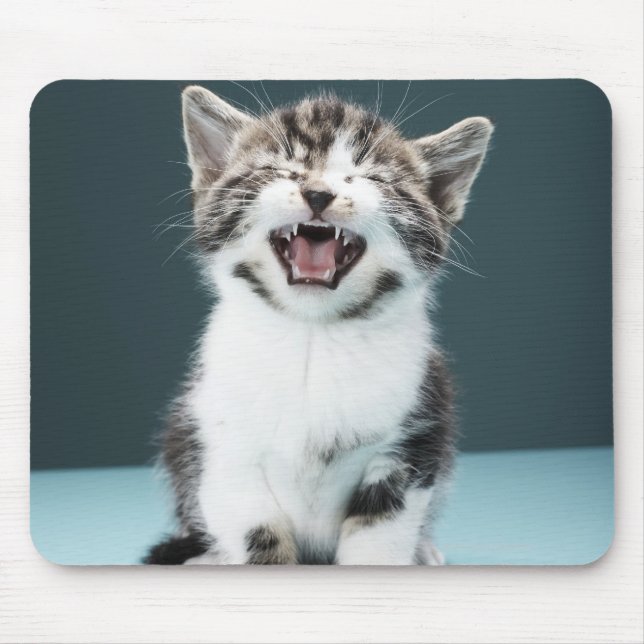 Kitten meowing mouse mat (Front)