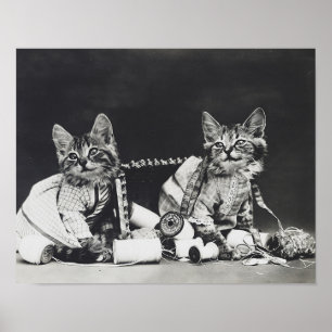 Kitten Mischief Makers 1914 Poster