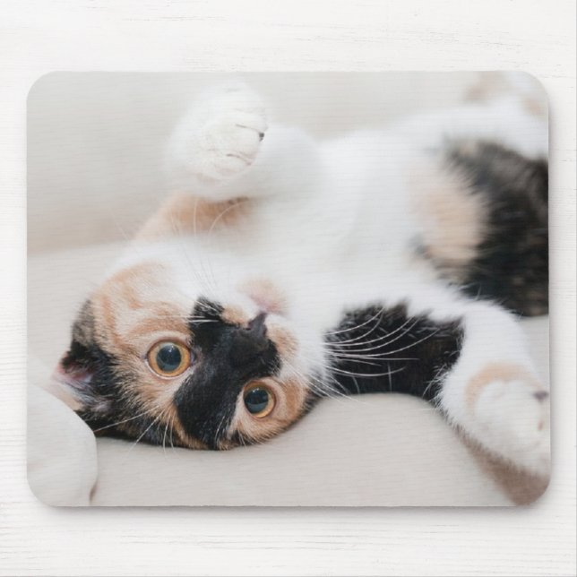 Kitten Mouse Mat (Front)