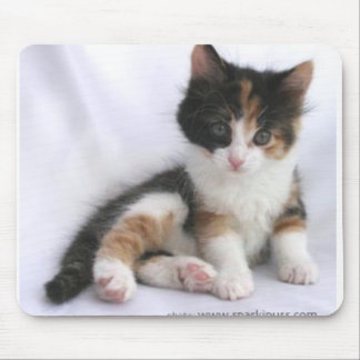 kitten mouse mat