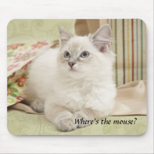 kitten mousemat