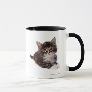 Kitten Mug