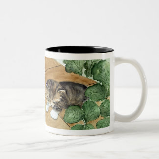 Kitten Mug