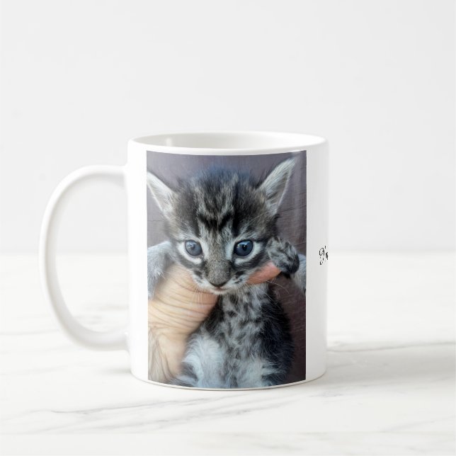 Kitten Mug, Procrastinator Mug, Funny Mug (Left)