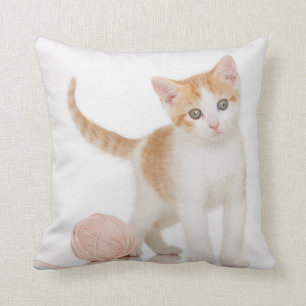 Kitten Next To Ball Of String Cushion