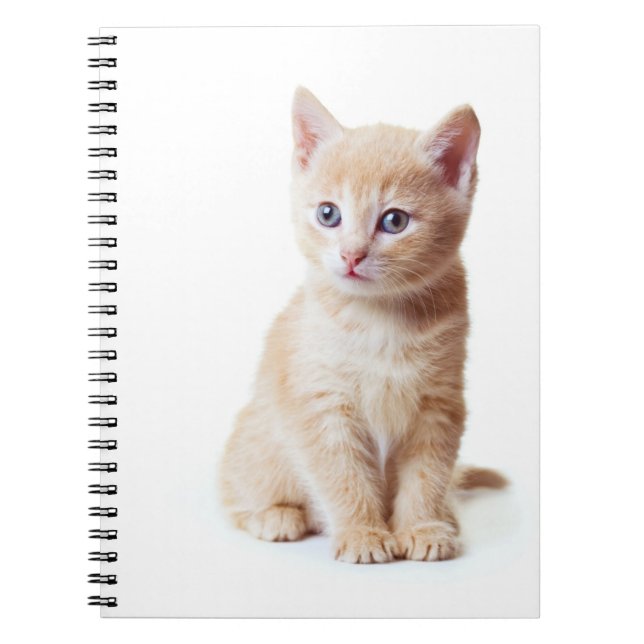 Kitten notebook (Front)