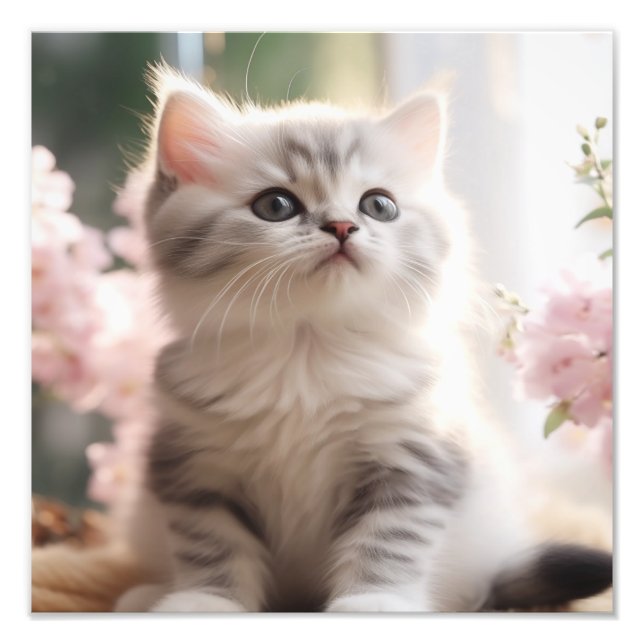 Kitten Nursery & Children's Room Prints (Front)